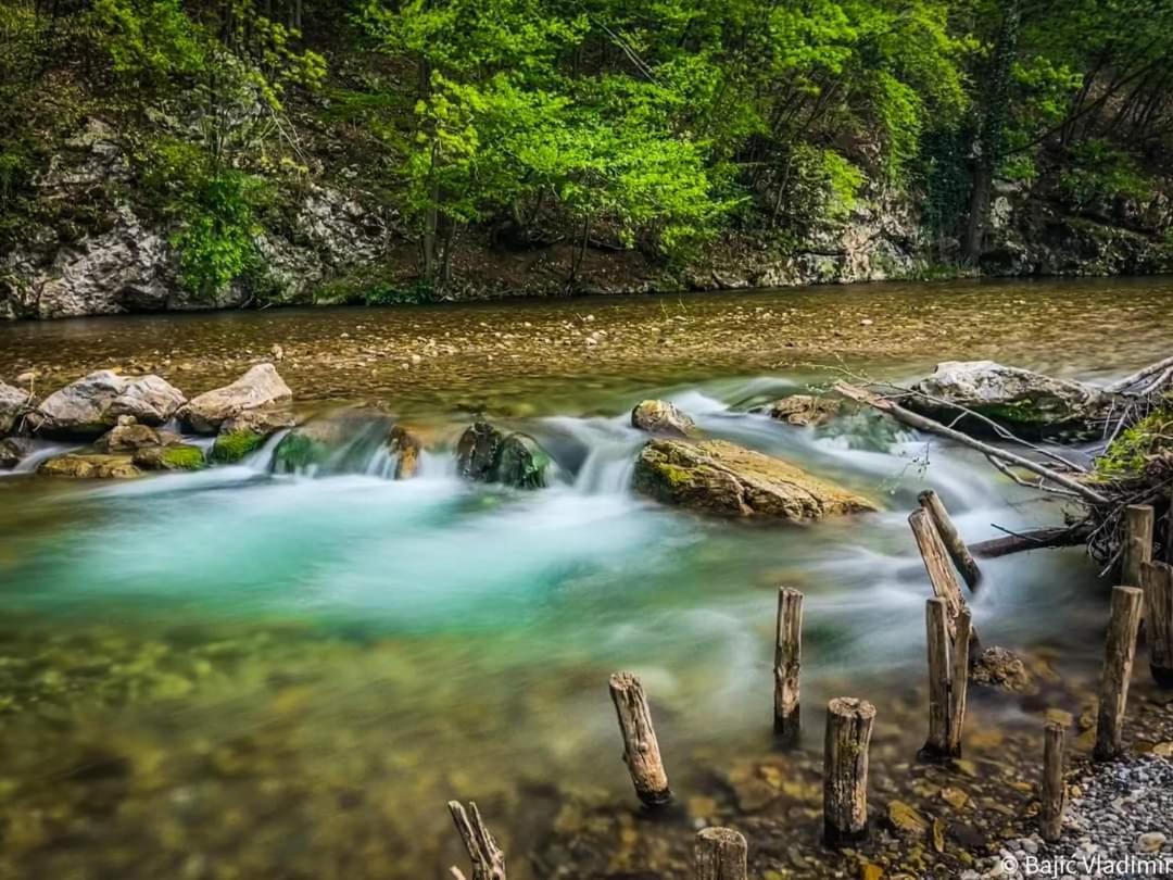 Poljoprivredno Turisticko Domacinstvo Deguric Lejlighed Valjevo Eksteriør billede