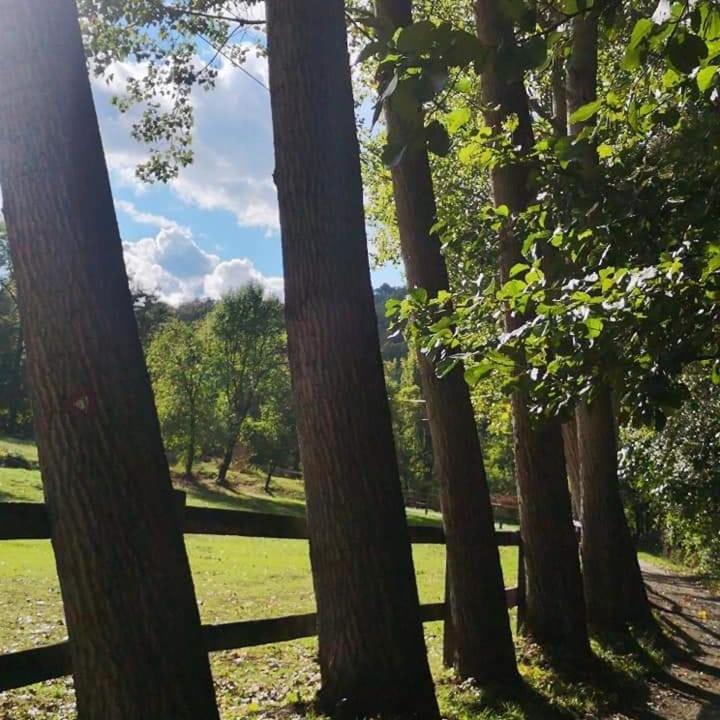 Poljoprivredno Turisticko Domacinstvo Deguric Lejlighed Valjevo Eksteriør billede