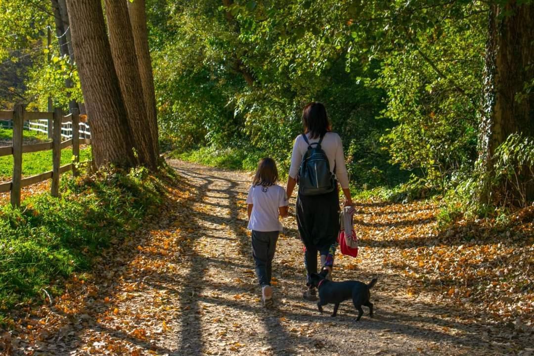 Poljoprivredno Turisticko Domacinstvo Deguric Lejlighed Valjevo Eksteriør billede